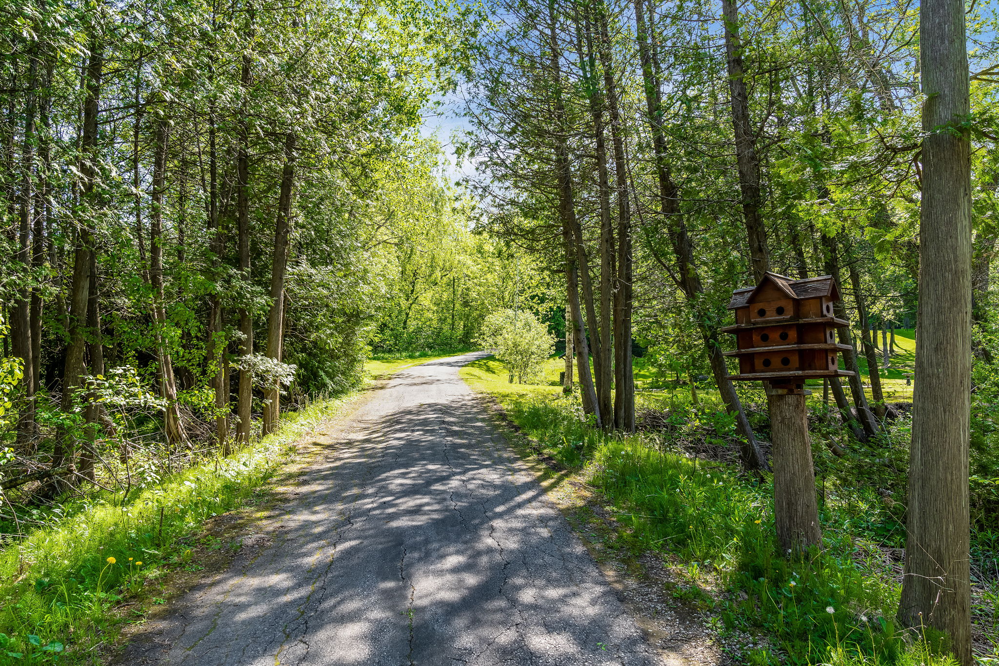  5814 10 Line, Erin, ON N0B 1T0, US Photo 10