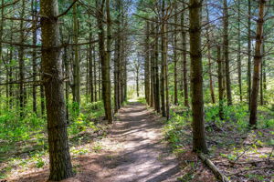  5814 10 Line, Erin, ON N0B 1T0, US Photo 79