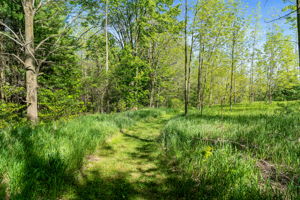  5814 10 Line, Erin, ON N0B 1T0, US Photo 80