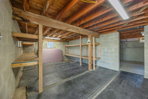  Photo 47