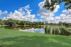 Merion Way-040