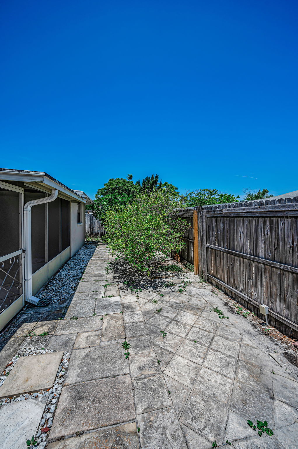 Backyard4