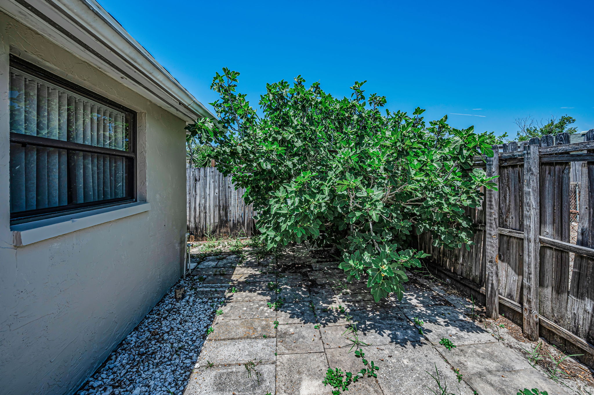 Backyard5