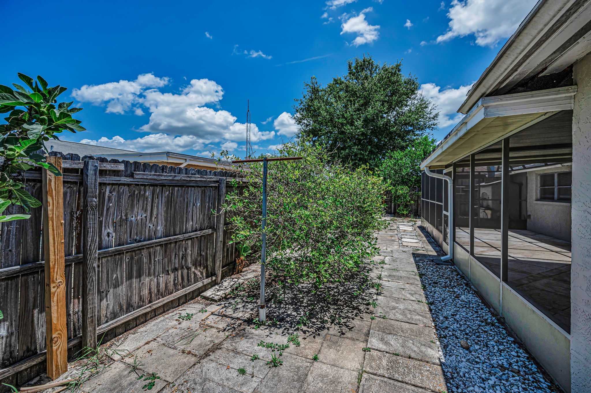 Backyard6