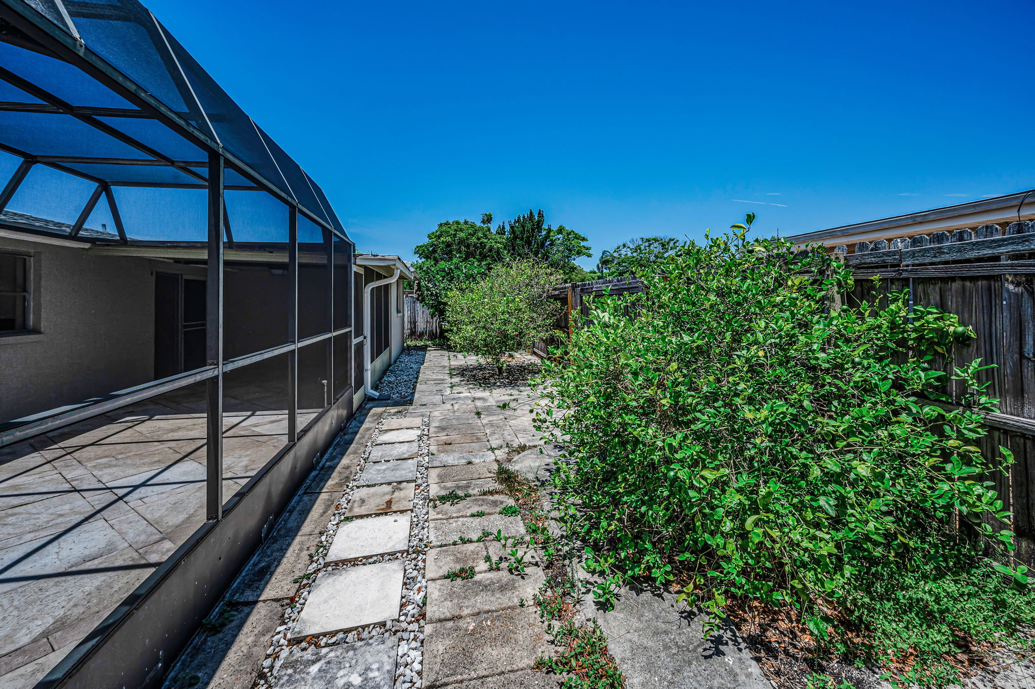 Backyard3