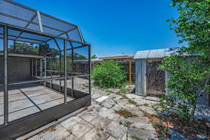 Backyard2