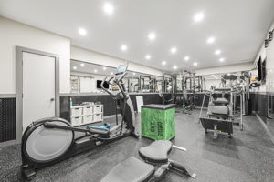 Massive Home Gym with full Glass Front