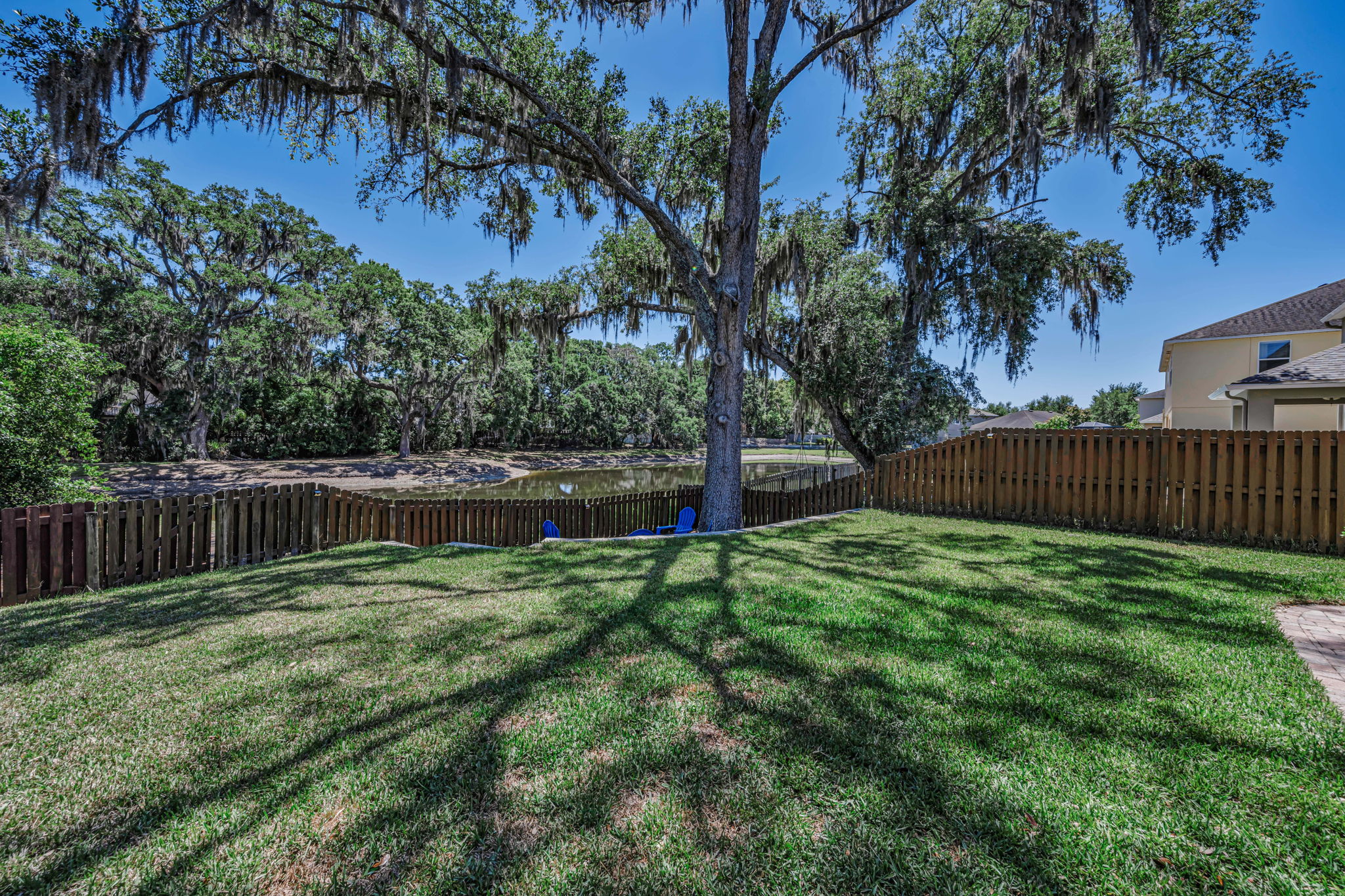 Backyard 3