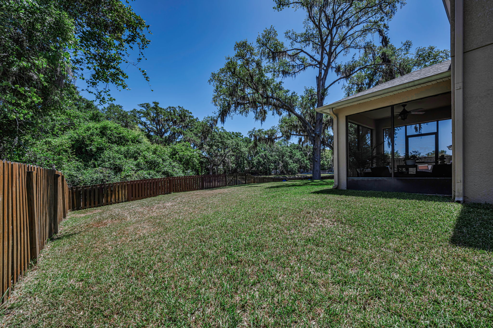 Backyard 5