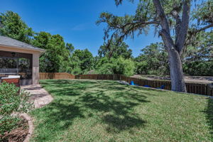Backyard 1