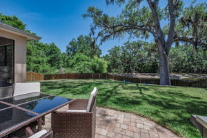 Backyard 2