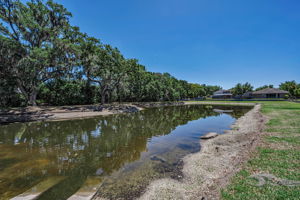 Pond View 1