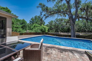 Backyard 2