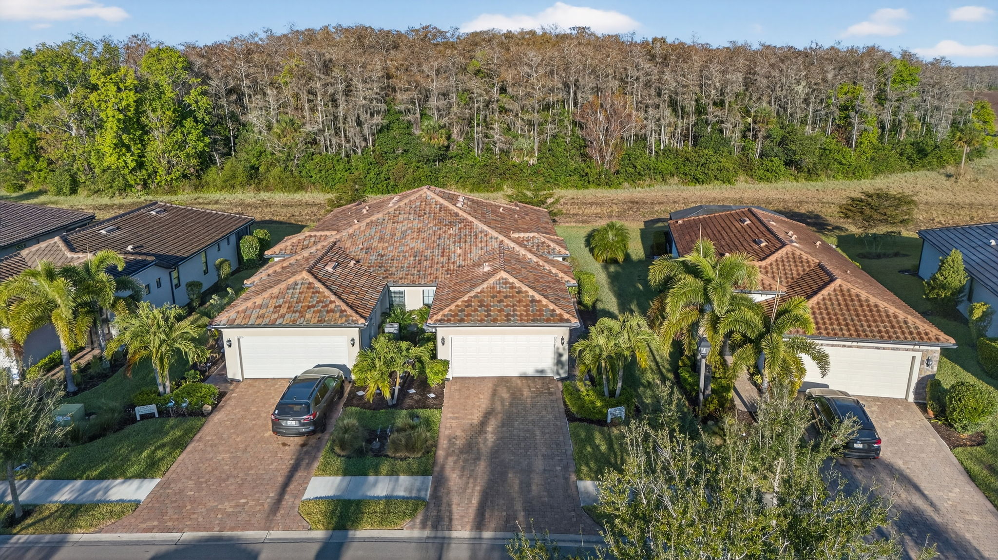 Aerial Front Exterior 1