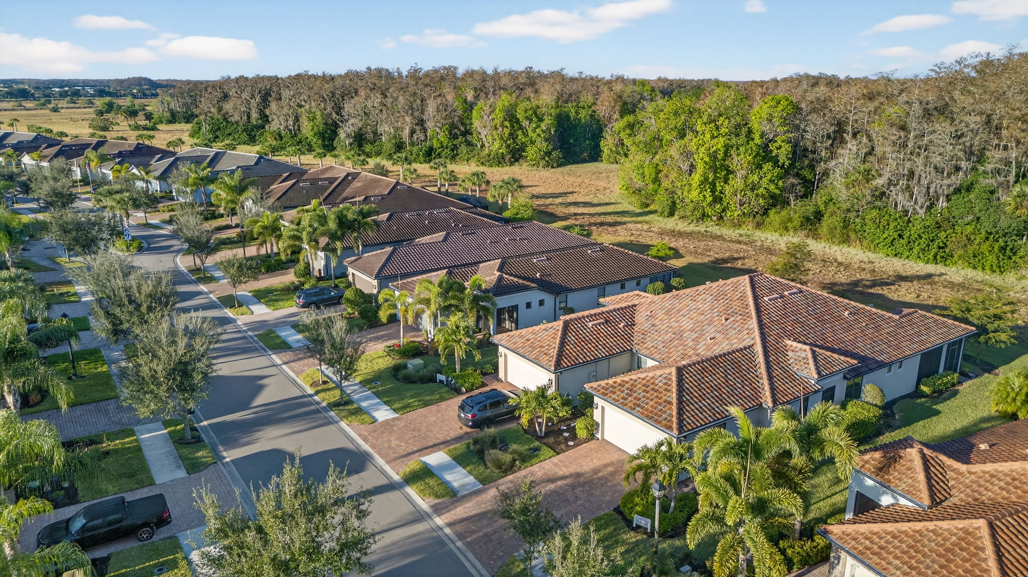 Aerial Front Exterior 3