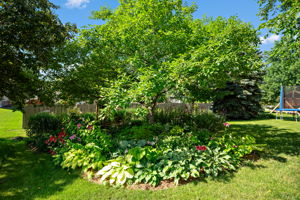  Photo 38