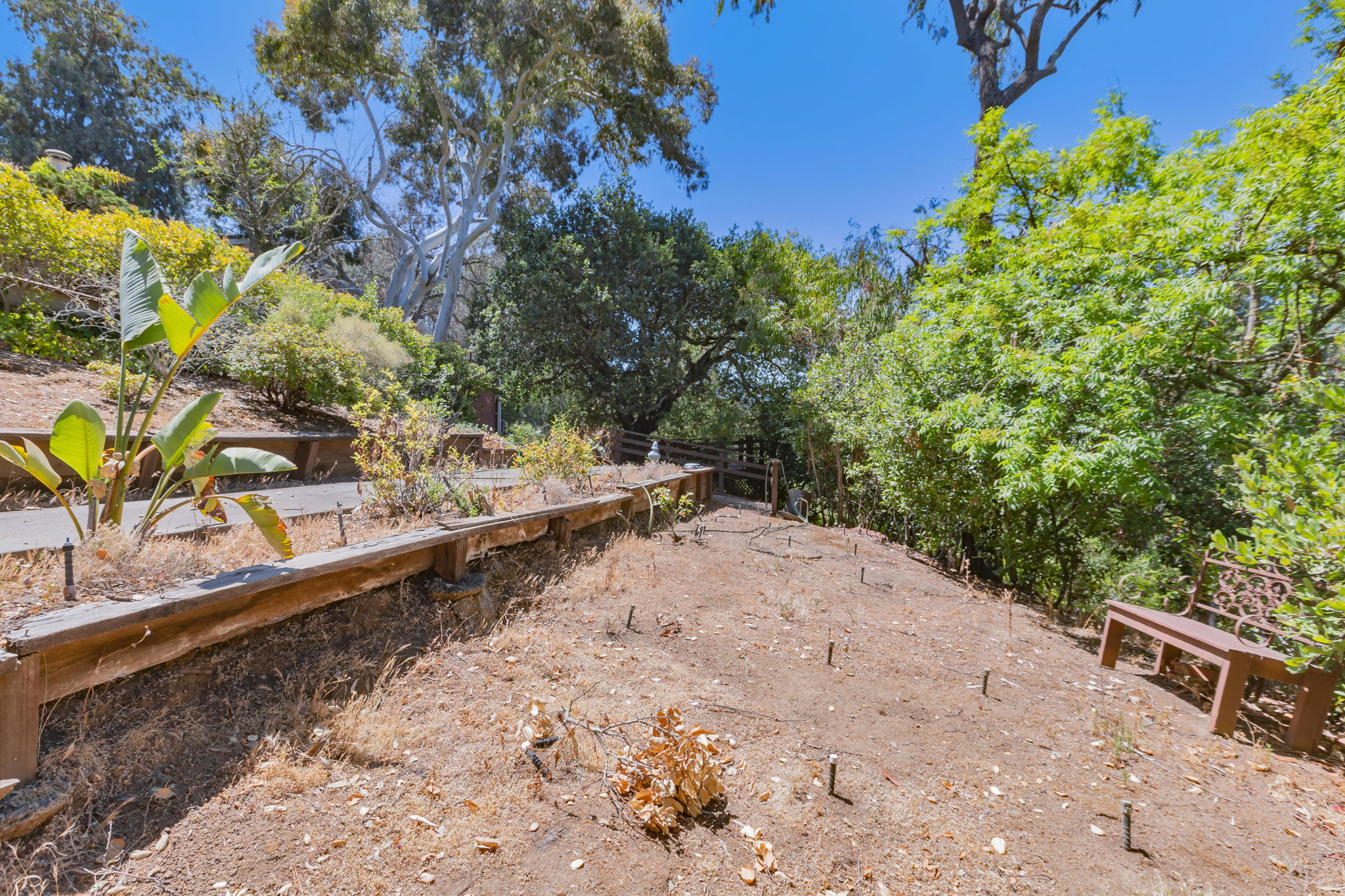  Photo 53