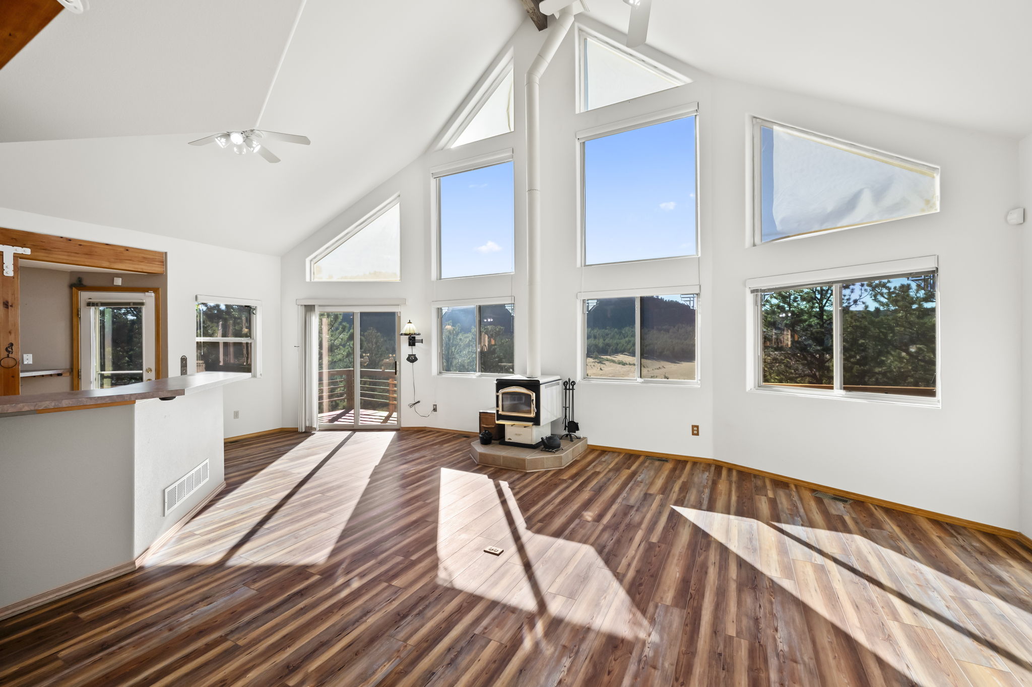 Open Floor Plan, Soaring Ceilings