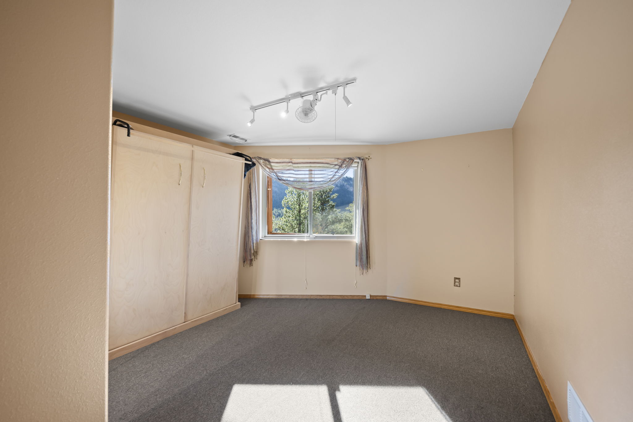 Lower Level Bedroom with Murphy Bed