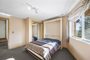 Lower Level Bedroom with Murphy Bed