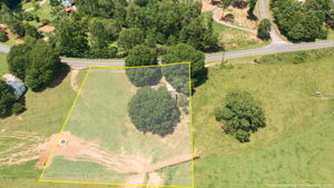 Image-41