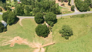Image-42