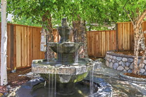 047_F8_5835 Elder Cir