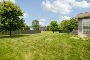  Photo 39