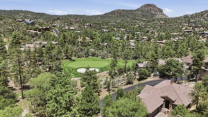 Aerial 1