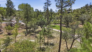 Lot Photo 3
