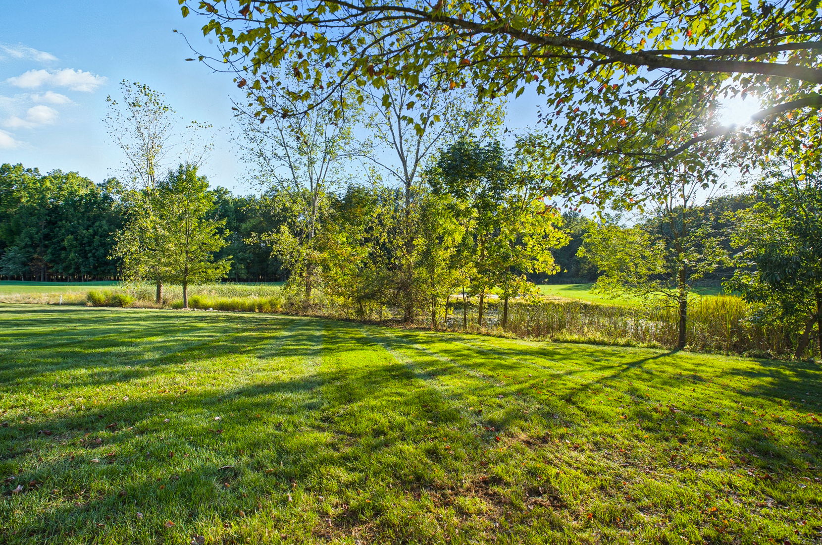 Jackie King - 5840 Heron Ct-126