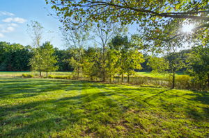 Jackie King - 5840 Heron Ct-126