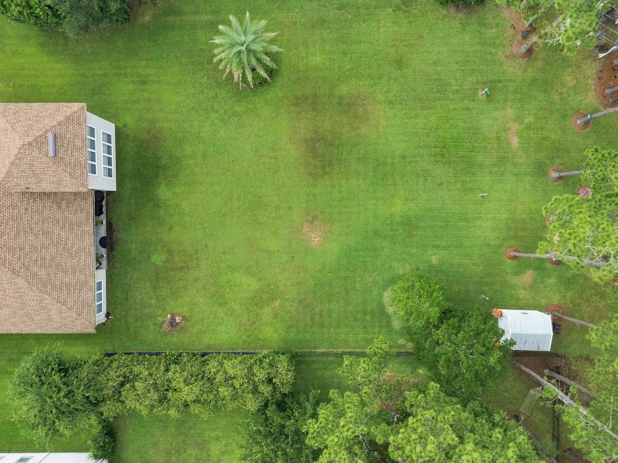 DJI_0730
