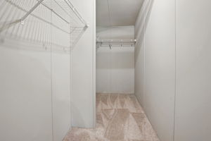 Primary Bedroom Closet