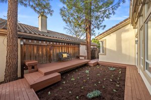 Side Courtyard