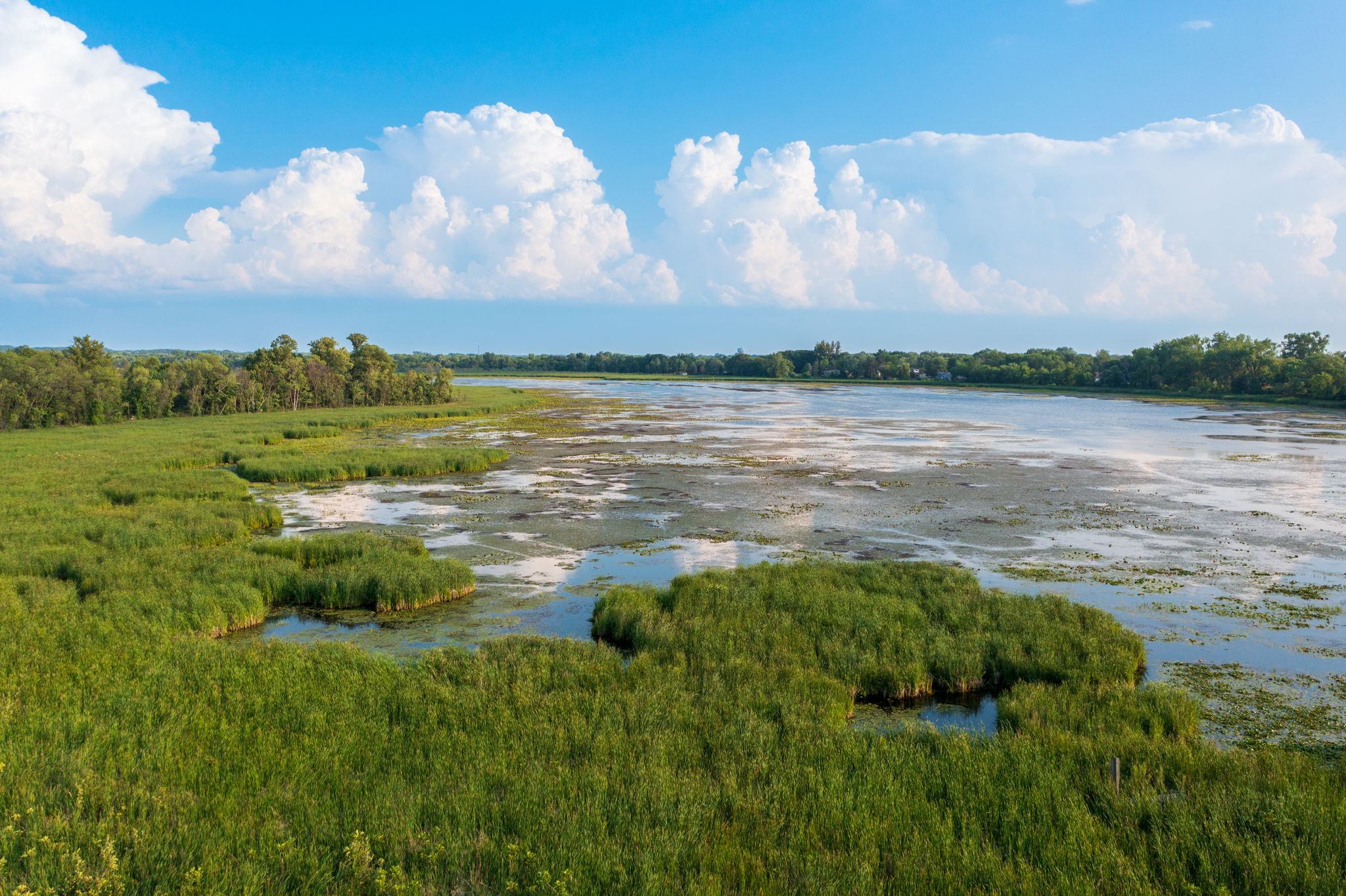 At 5857 Oneka Lake Boulevard N, not only do you get a massive fenced-in green space—you also enjoy a direct connection with nature in your own backyard.