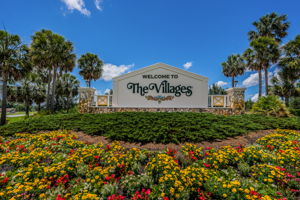 The Villages1