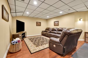 Large Theater Room