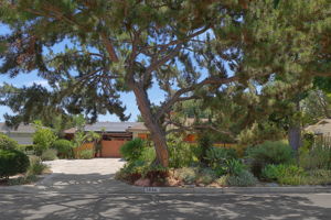  Photo 0