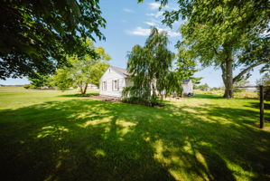  Photo 45