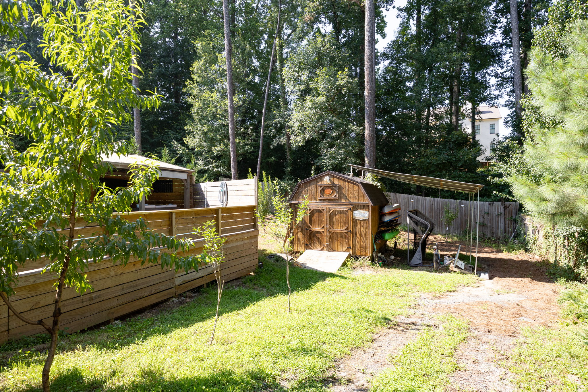 Photo 41