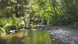 Photo 37