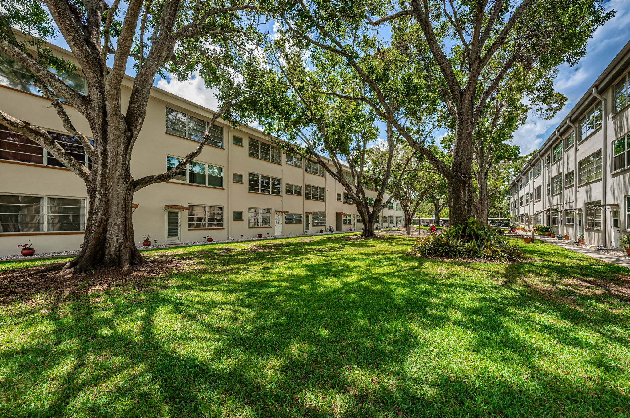 Common Area Yard1