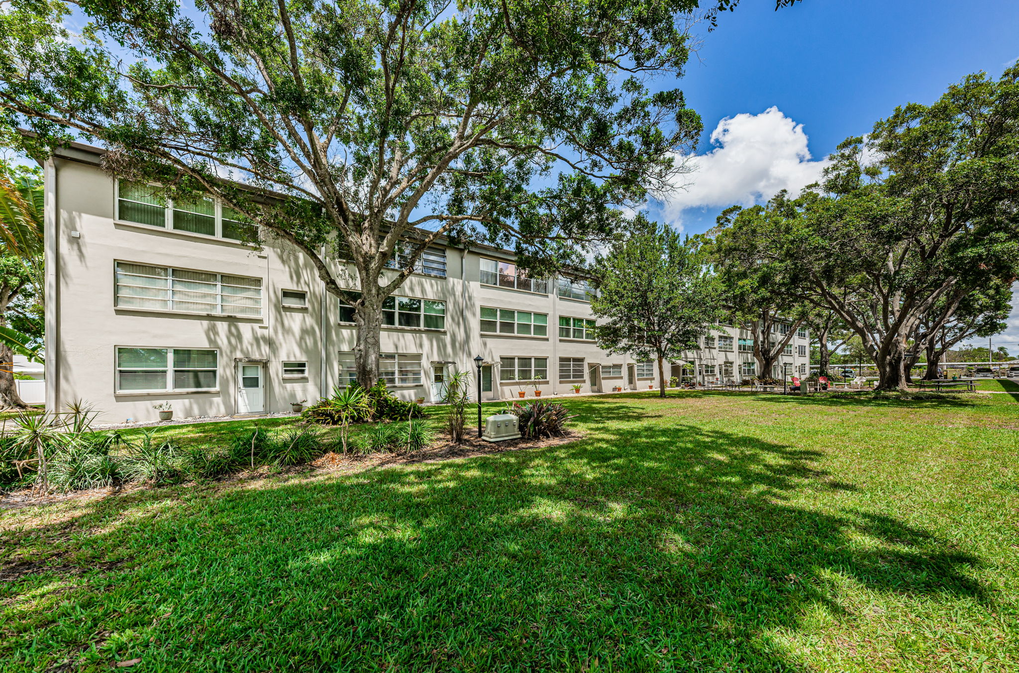 Common Area Yard5