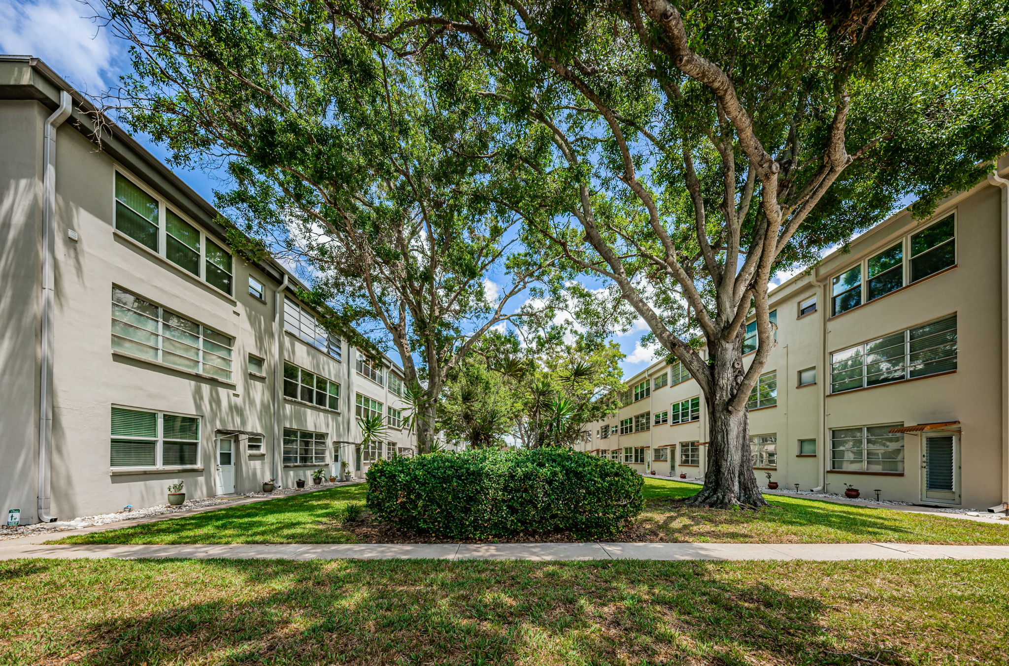 Common Area Yard6