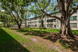 Common Area Yard2
