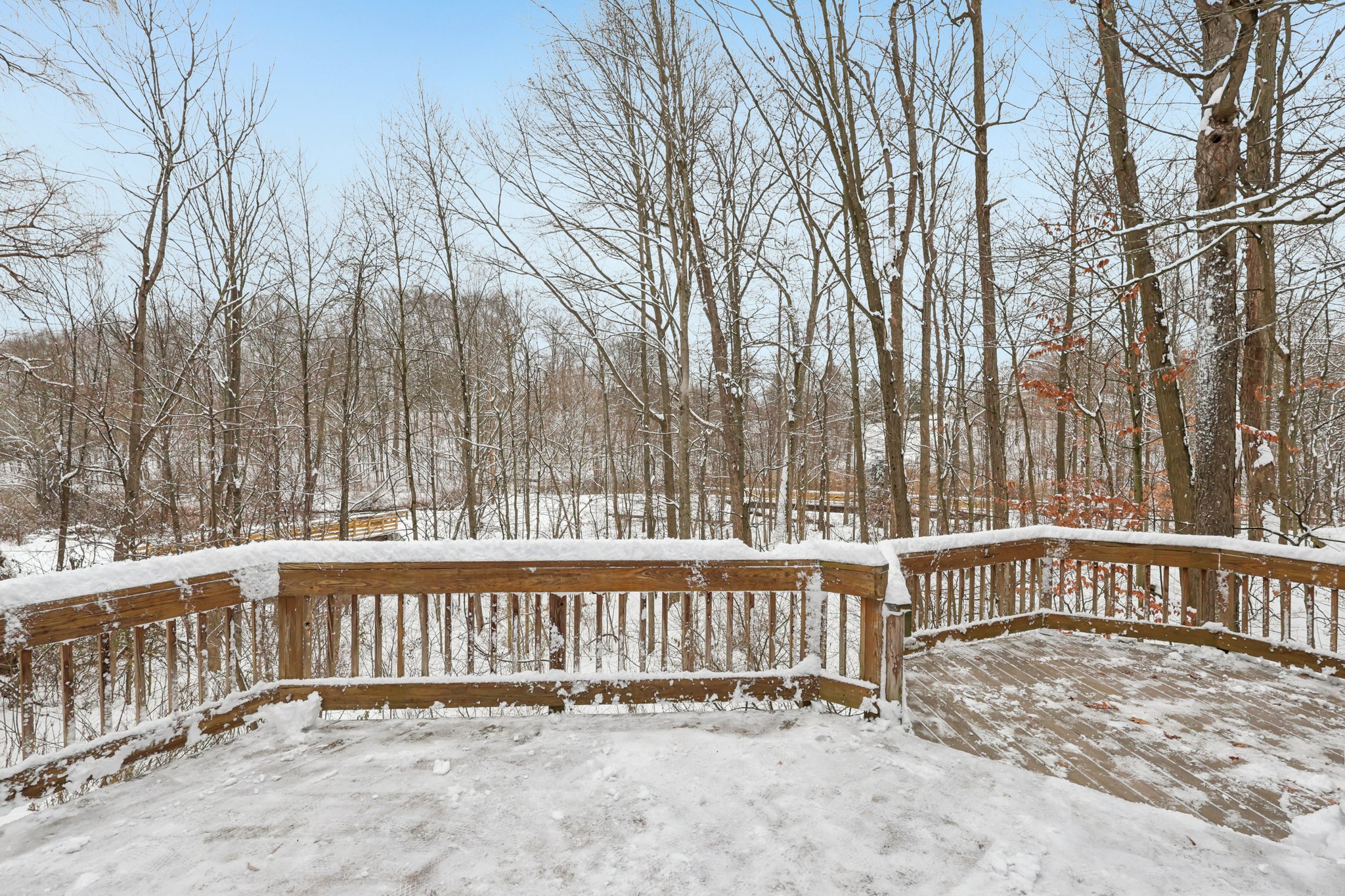 N Oval-S0312-047.jpg