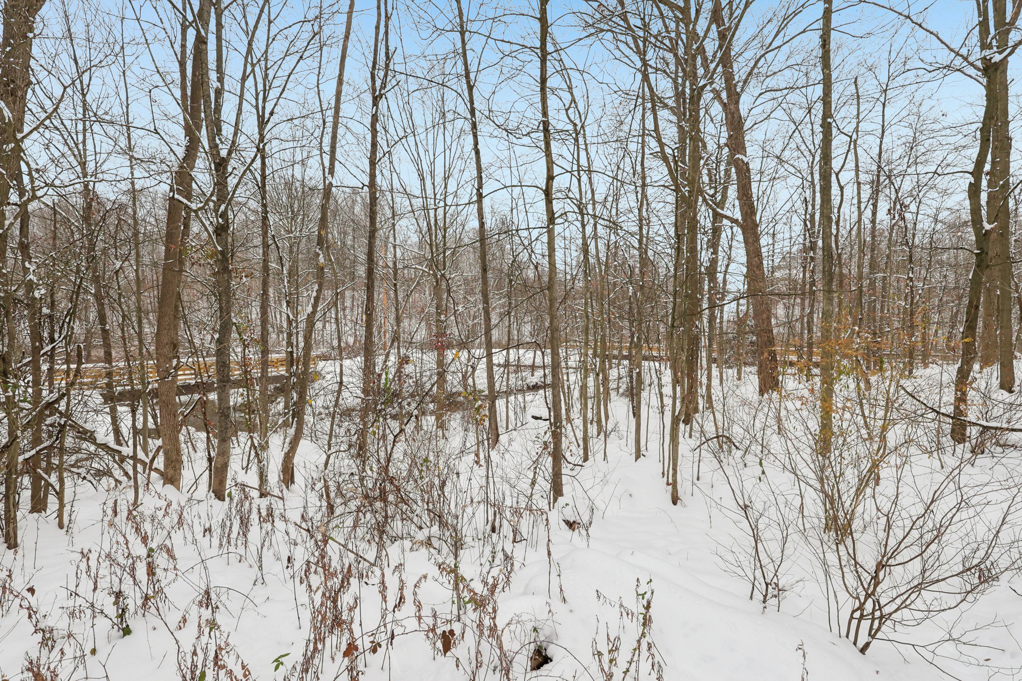 N Oval-S0312-054.jpg