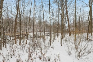 N Oval-S0312-054.jpg