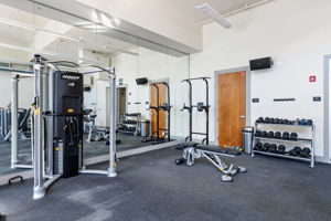  Photo 49